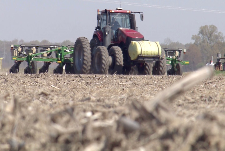 Louisiana corn planting nearly complete